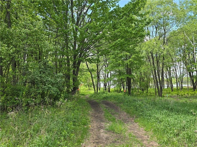 2756 7 5/8 Ave Unit 1, Chetek, WI 54728 - view of tree filled area
