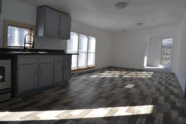 kitchen with plenty of natural light, gray cabinets, and sink