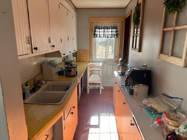 kitchen with sink and dark hardwood / wood-style floors