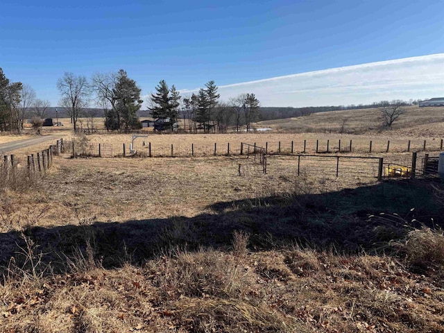 view of yard with a rural view