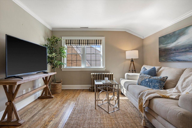 living room featuring crown molding, radiator heating unit, and wood-type flooring