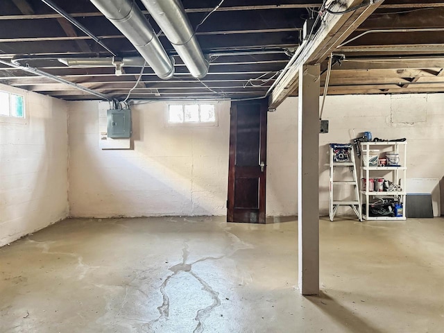 basement featuring plenty of natural light and electric panel