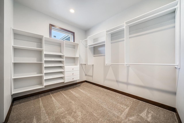 spacious closet featuring carpet