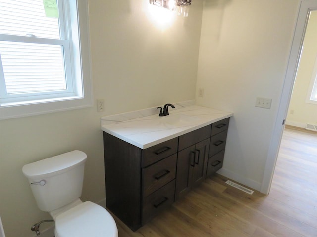 127 Linden Ln, Fox Lake, WI 53933 - bathroom featuring vanity, wood finished floors, and healthy amount of natural light