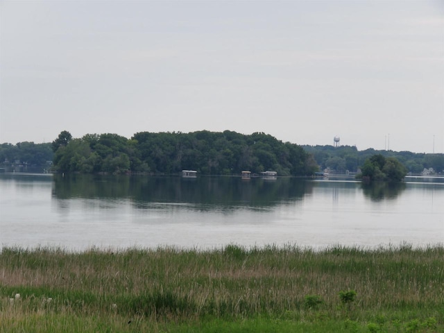 127 Linden Ln, Fox Lake, WI 53933 - water view with a heavily wooded area