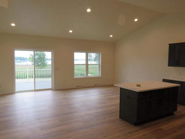 127 Linden Ln, Fox Lake, WI 53933 - kitchen with light wood-style flooring, plenty of natural light, a kitchen island, recessed lighting, and dark cabinetry