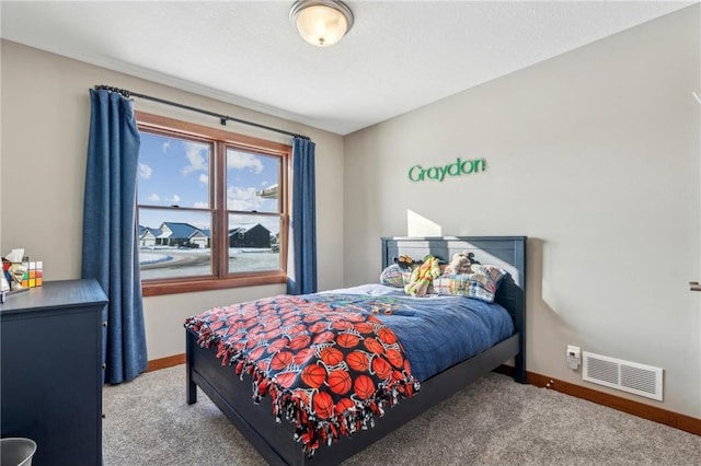 1787 Otter Way, New Richmond, WI 54017 - view of carpeted bedroom