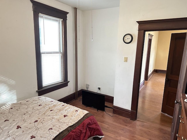 bedroom featuring wood-type flooring and multiple windows