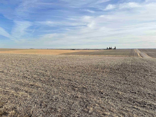 view of yard featuring a rural view