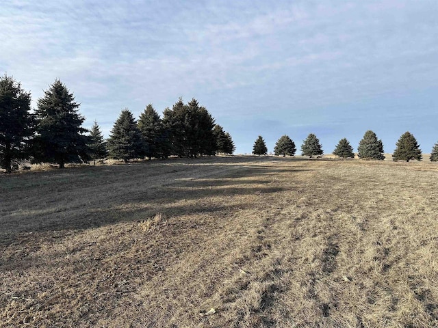 view of yard featuring a rural view