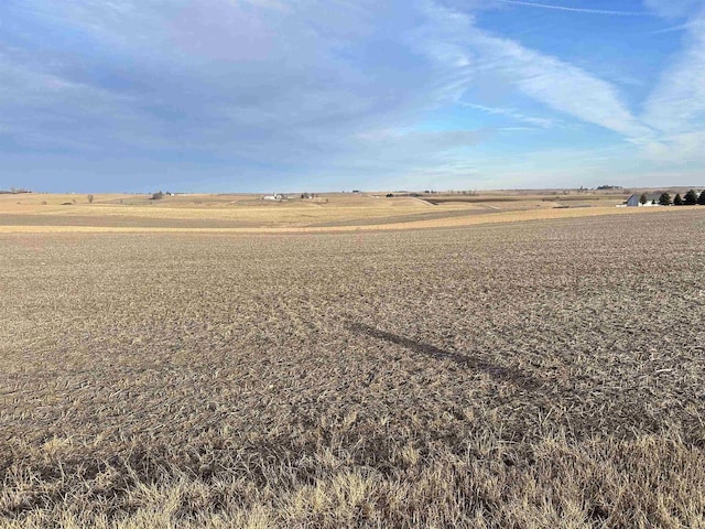 view of yard with a rural view