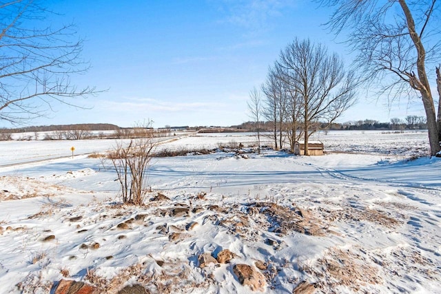 view of snowy yard