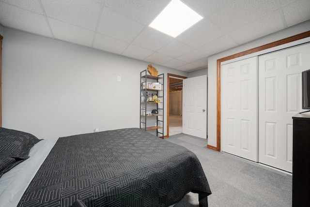 carpeted bedroom featuring a paneled ceiling and a closet