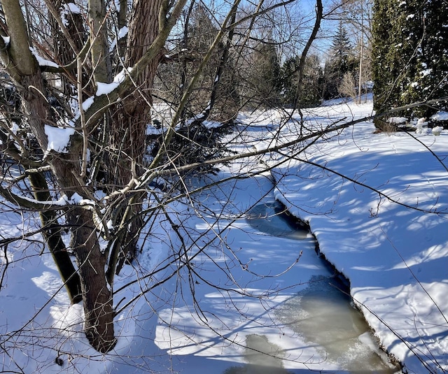 view of snowy landscape