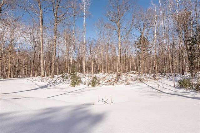 15035W Goss Rd, Hayward, WI 54843 - view of yard layered in snow