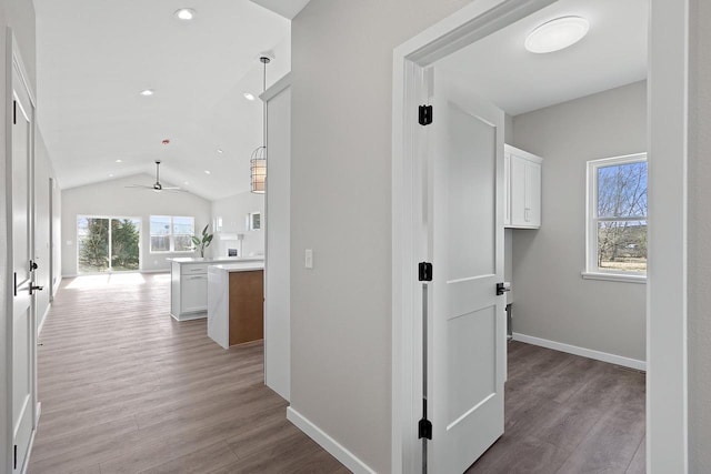 hall featuring vaulted ceiling and light hardwood / wood-style flooring