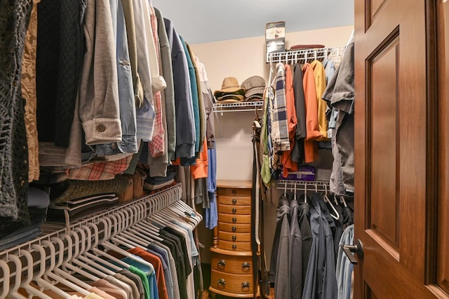 view of spacious closet