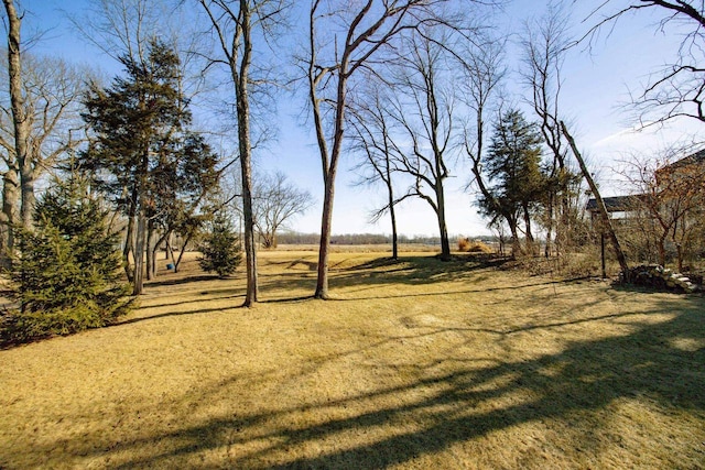 view of yard with a rural view