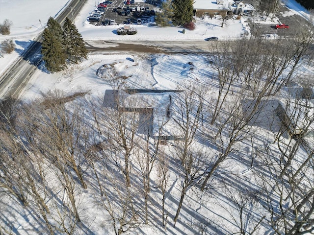 view of snowy aerial view