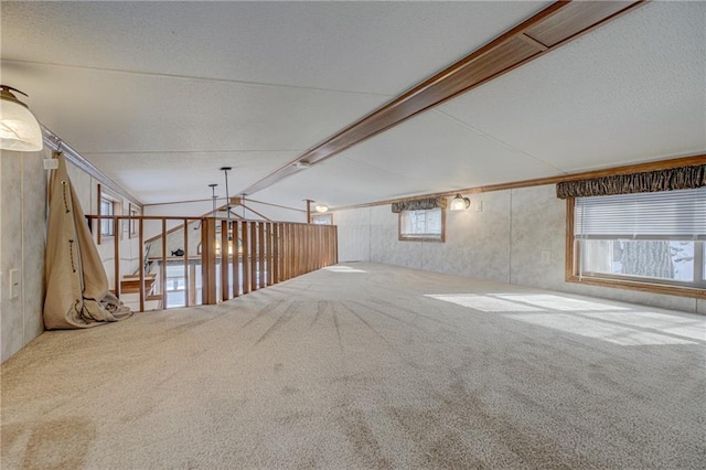 miscellaneous room with carpet floors, plenty of natural light, and a textured ceiling