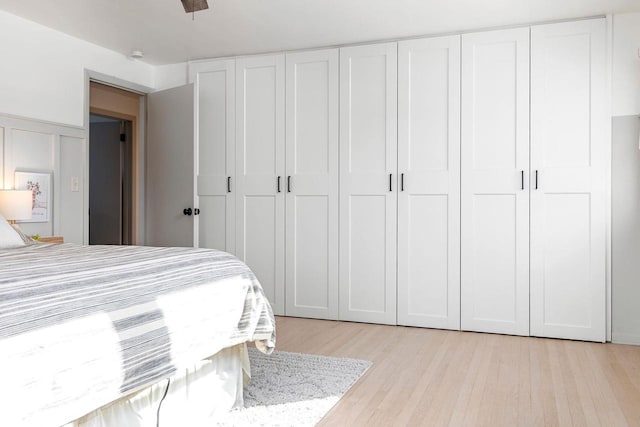 bedroom featuring light wood-type flooring and a closet