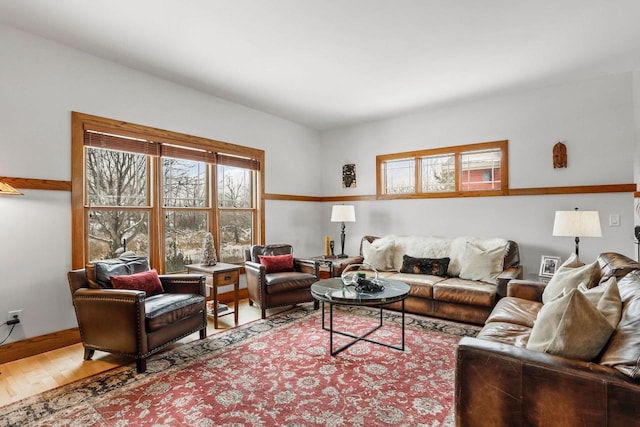 living room featuring hardwood / wood-style floors