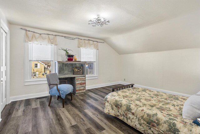 51 W 10th Ave, Oshkosh, WI 54902 - bedroom with dark wood-type flooring, a textured ceiling, and vaulted ceiling