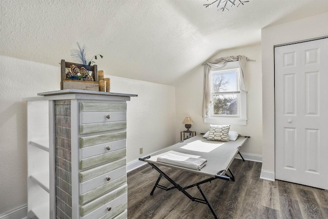 51 W 10th Ave, Oshkosh, WI 54902 - office with dark wood-type flooring, vaulted ceiling, and a textured ceiling