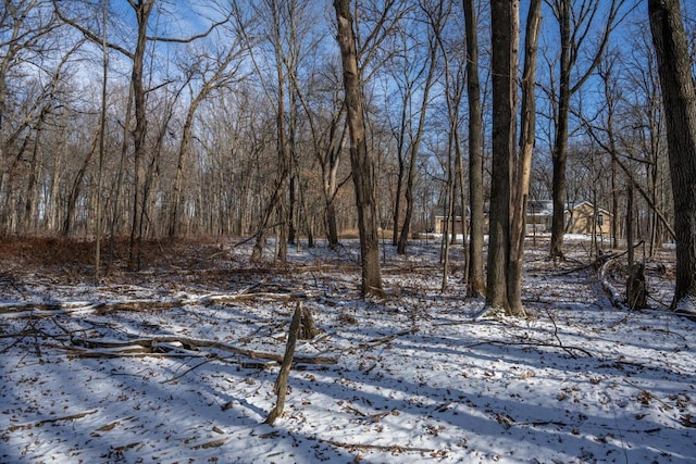 Listing photo 2 for LOT11 Oak Hill Ests E, Mauston WI 53948