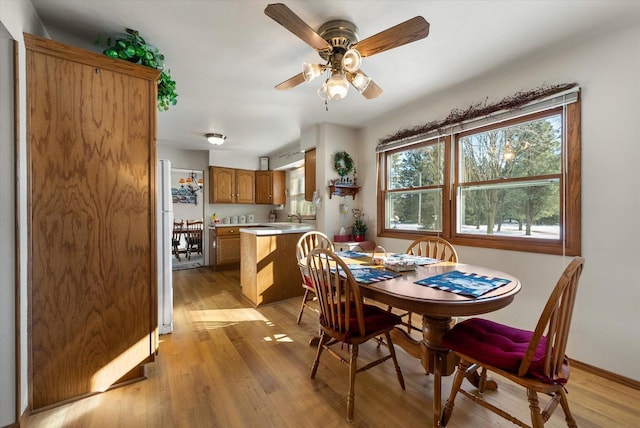 dining room with sink, ceiling fan, and light wood-type flooring