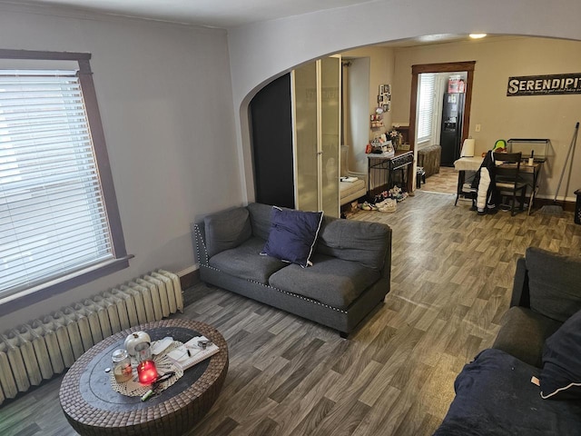 living room with radiator, a wealth of natural light, and hardwood / wood-style floors