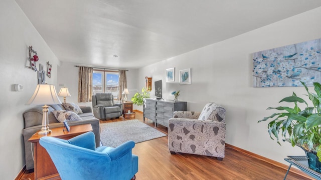 living room featuring wood-type flooring