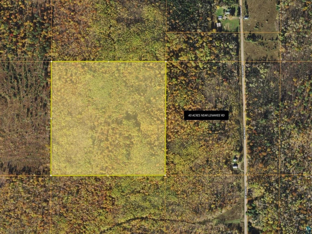 40ACRESNEAR Lenawee Rd, Clover, WI 54844