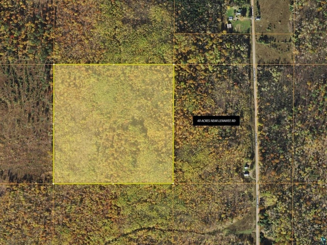 40ACRESNEAR Lenawee Rd, Clover WI, 54844 land for sale