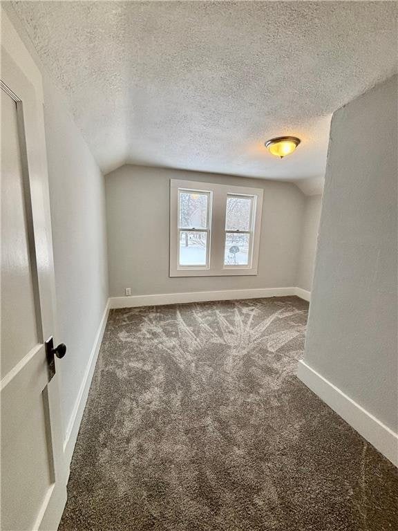 additional living space with lofted ceiling, a textured ceiling, and carpet flooring