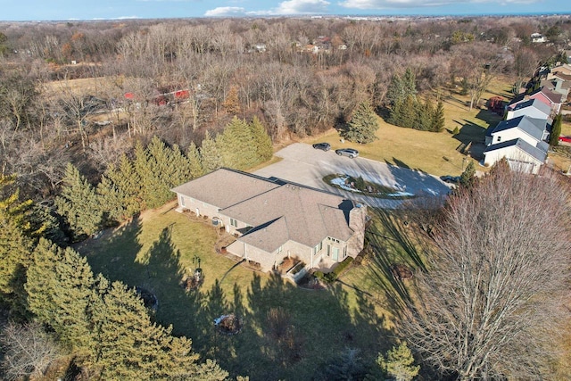 bird's eye view