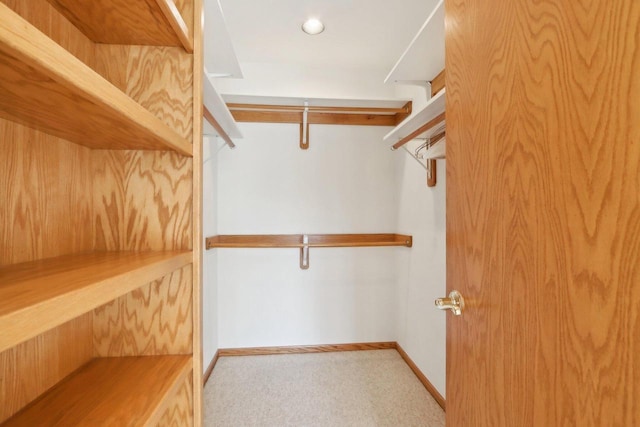 view of walk in closet