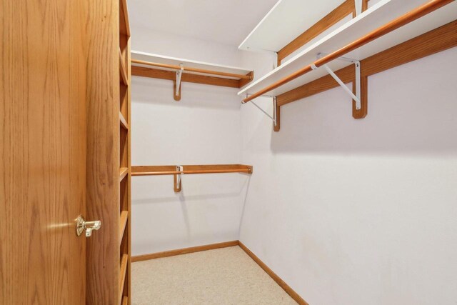 walk in closet with carpet floors