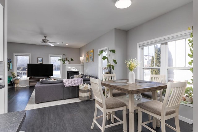 dining room with ceiling fan, dark wood-type flooring, and a wealth of natural light