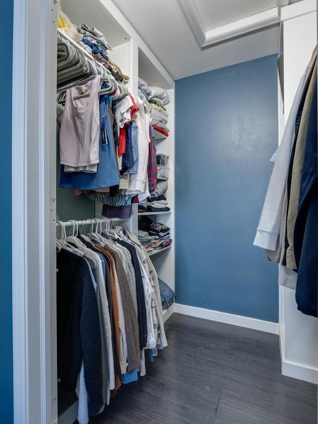 walk in closet with dark hardwood / wood-style flooring