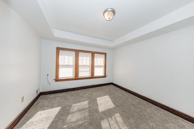 unfurnished room with carpet floors and a raised ceiling