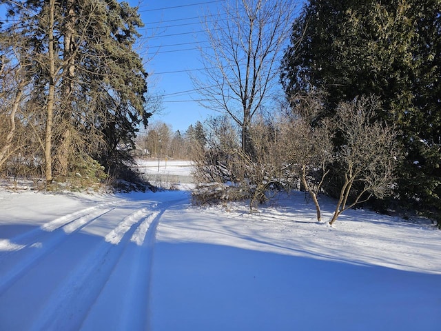 view of yard layered in snow