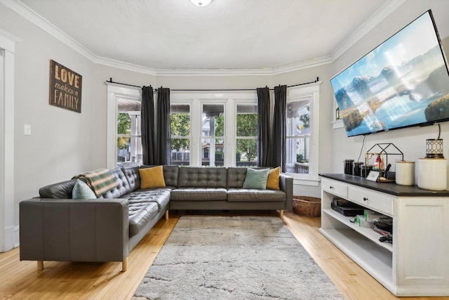 living room featuring ornamental molding and light hardwood / wood-style floors