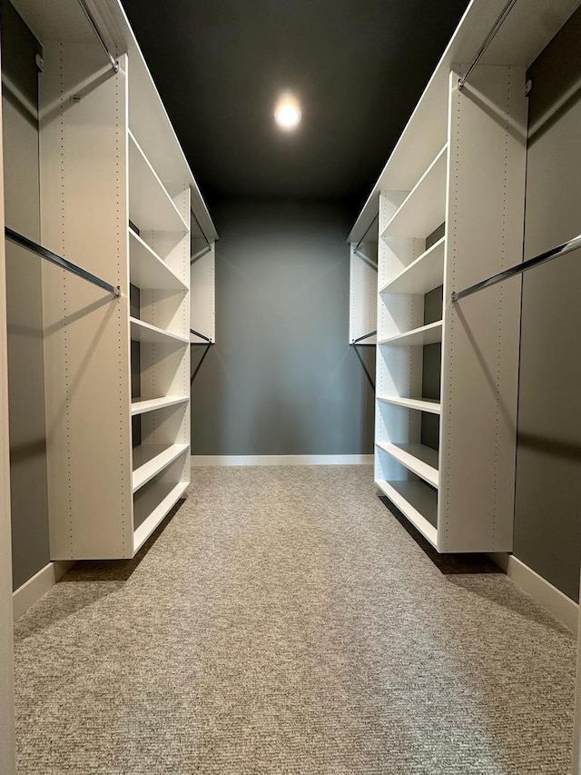 spacious closet featuring carpet flooring