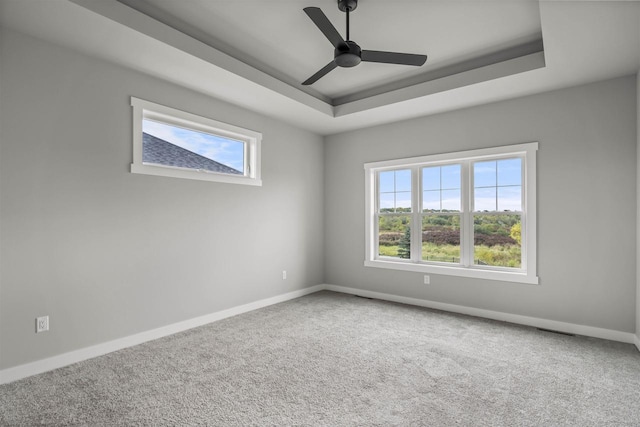 822 Westbridge Trl, Waunakee, WI 53597 - unfurnished room featuring plenty of natural light, a raised ceiling, and carpet floors
