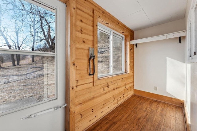 entryway with wood-type flooring