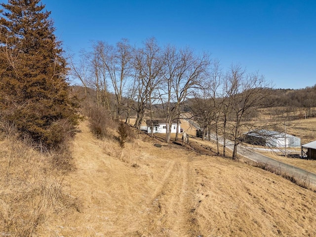 view of yard with a rural view