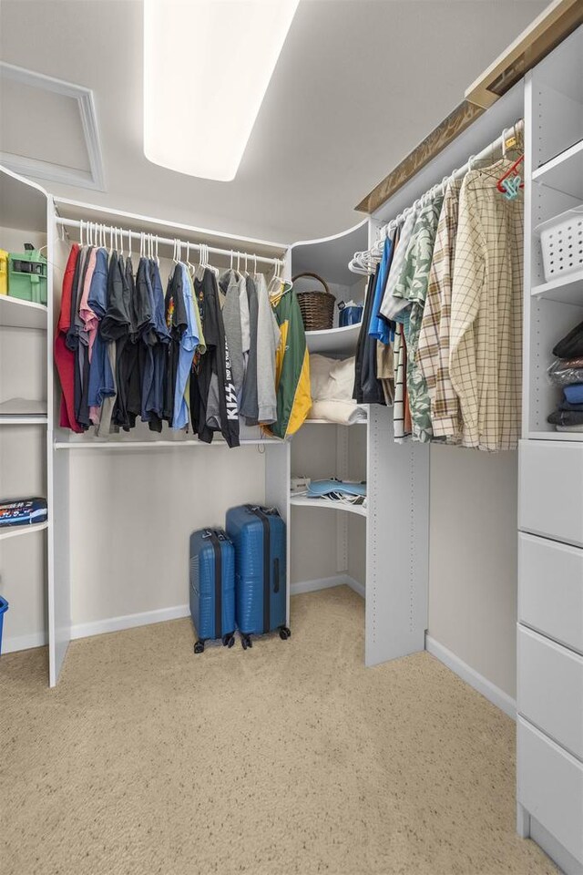 1809 Shady Point Dr, Verona, WI 53593 - view of spacious closet