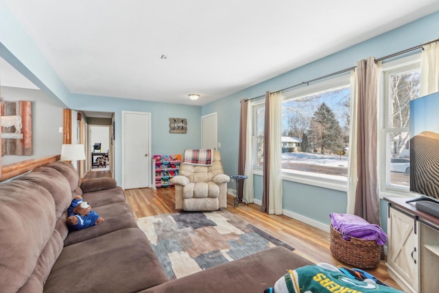 living room with light hardwood / wood-style flooring