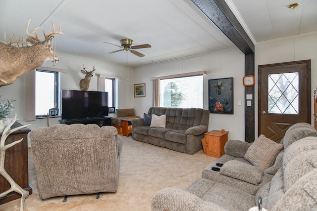 living room featuring crown molding, light colored carpet, and ceiling fan